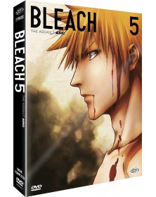 Bleach - Arc 5: The Assault...