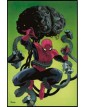 Superior Spider-Man – L’Origine – Volume Unico – Panini Comics – Italiano