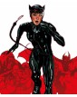Catwoman Vol. 6 – Rischio Finale – DC Comics Evergreen – Panini Comics – Italiano