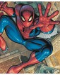 Amazing Spider-Man Vol. 17: beyond parte 1 – Il ritorno di Ben Reilly - Marvel Collection – Panini Comics – Italiano