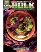 L’Incredibile Hulk 3 – Hulk e i Difensori 106 – Panini Comics – Italiano