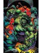 L’Incredibile Hulk 7 – Hulk e i Difensori 110 – Panini Comics – Italiano