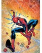 Amazing Spider-Man :  Gang War – Le guerre di Bande - Marvel Collection – Panini Comics – Italiano
